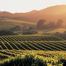 Napa Valley